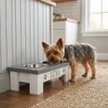 Elevated Dog Bowl Stand – Modern Raised Pet Feeder with Stainless Bowls