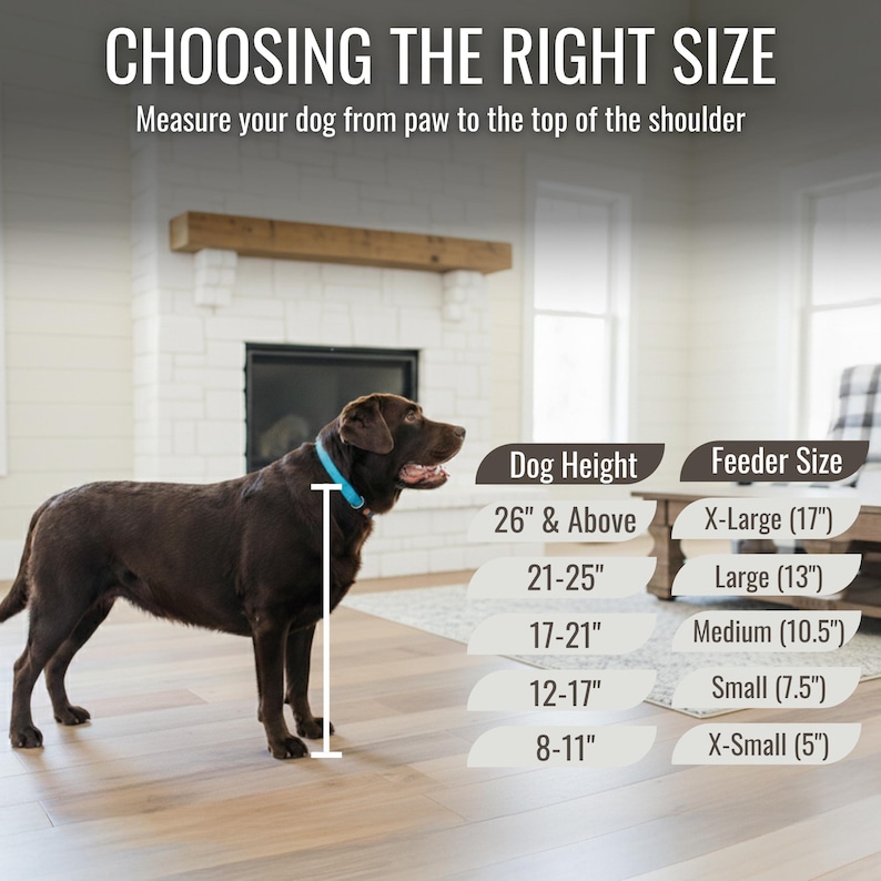 Dog feeder size guide showing x-small, small, medium, large and x-large raised bowl stands with dog silhouettes for scale. Helps owners select the correct elevated feeder size for their breed. Farmhouse style customizable feeders with engraved nameplates, removable bowls, and color options available. Designed to improve posture, digestion, and hydration for dogs of all sizes while matching home décor.