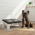 Tilted Elevated Dog Feeder | Angled Wooden Raised Pet Bowl Stand, Stainless Steel Bowls