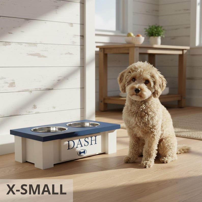 Extra small personalized elevated feeder “DASH” with curly-haired dog beside it. Farmhouse style raised wooden dog bowl stand for small breeds and puppies. Features customizable engraved nameplate, removable bowls, and durable handcrafted design. Perfect for small breeds, improves posture and digestion. Available in multiple colors and sizes, this pet feeder combines functionality with farmhouse home décor style.