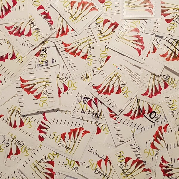 50 Calla Lily Flowers, Cancelled postage stamps, Canadian Stamps, used stamps ON paper, Red Flower Stamps, floral stamps  (e1468)