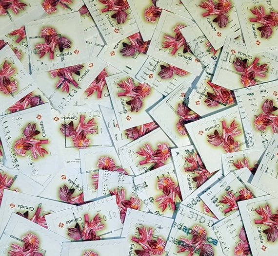 50 Striped Coralroot Orchid Flower Canadian Postage Stamp Etsy