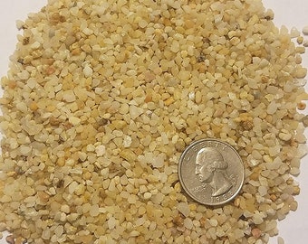 Coarse Silica Sand 1 Gallon for Bonsai, Cacti, Succulent, and Carnivorous plant mix