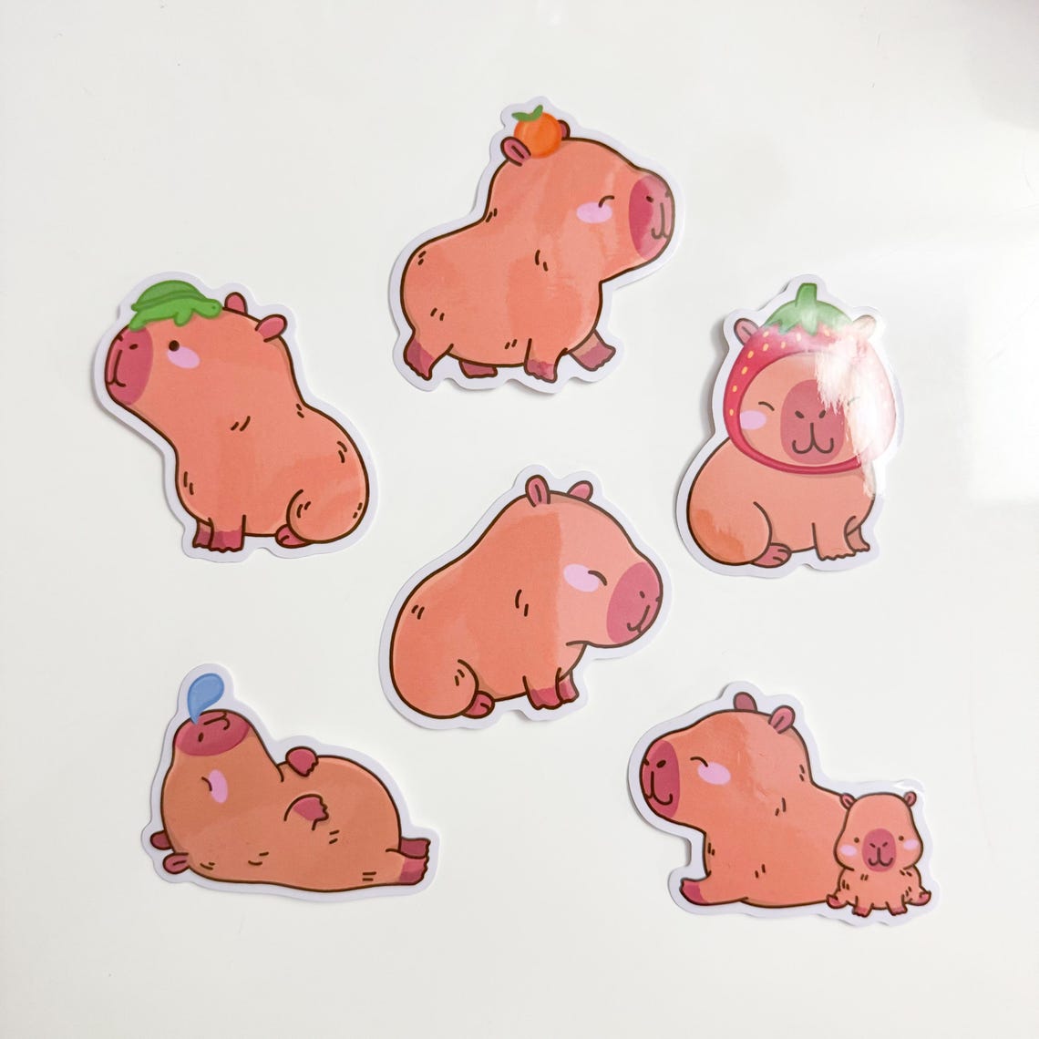 Capybara Stickers - Etsy
