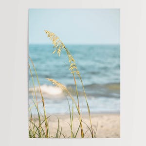 May include: A coastal landscape photograph featuring tall, golden sea oats in the foreground, with a sandy beach and the ocean in the background. The sky is a soft blue, and the water is a mix of blue and white.