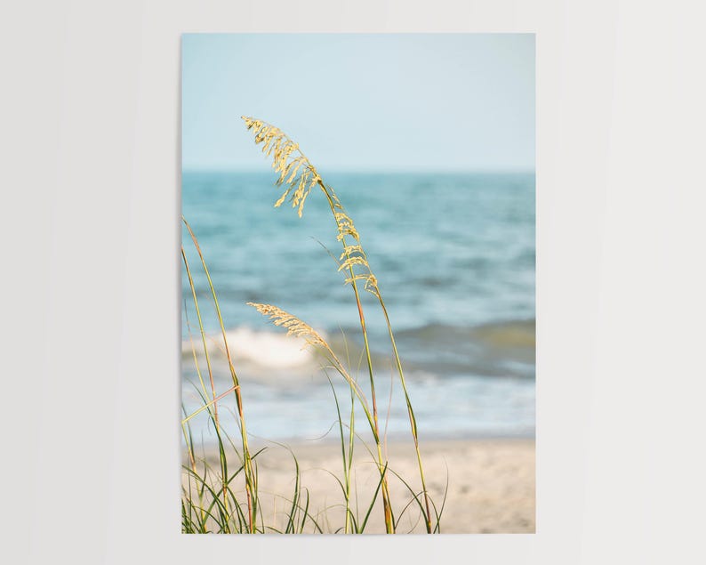May include: A coastal landscape photograph featuring tall, golden sea oats in the foreground, with a sandy beach and the ocean in the background. The sky is a soft blue, and the water is a mix of blue and white.