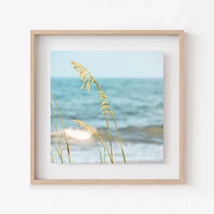 May include: A framed print featuring a coastal scene. The artwork showcases tall, golden sea oats in the foreground, with a blurred ocean and sky in the background. The print is encased in a light-colored wooden frame, creating a serene and natural aesthetic.