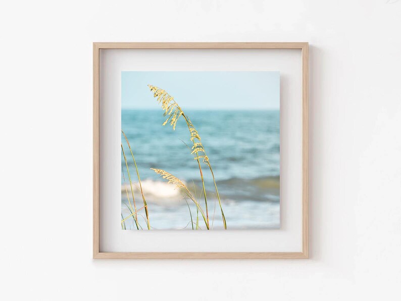 May include: A framed print featuring a coastal scene. The artwork showcases tall, golden sea oats in the foreground, with a blurred ocean and sky in the background. The print is encased in a light-colored wooden frame, creating a serene and natural aesthetic.