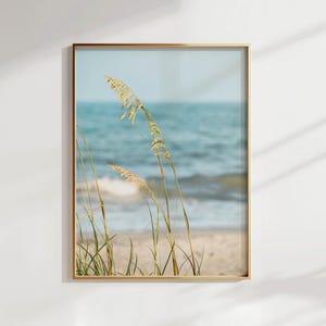 May include: A framed print featuring a coastal scene. Tall, golden sea oats sway in the foreground against a backdrop of a sandy beach and the blue ocean. The print is encased in a gold-colored frame, adding a touch of elegance to the natural landscape.