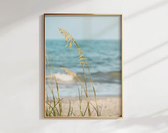 Kure Beach NC Wall Art | Sea Oats Coastal Photography Print | Minimalist Beach House Ocean Decor