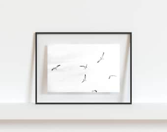 Lámina fotográfica de aves costeras / Arte mural de gaviotas / Decoración minimalista de playa / Arte mural costero neutro / Carolina Beach, NC / Lámina moderna con motivos oceánicos
