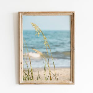 May include: Framed beach scene print featuring tall, golden sea oats in the foreground, with a sandy beach and the ocean in the background. The water is a light blue, and the frame is a light brown color.