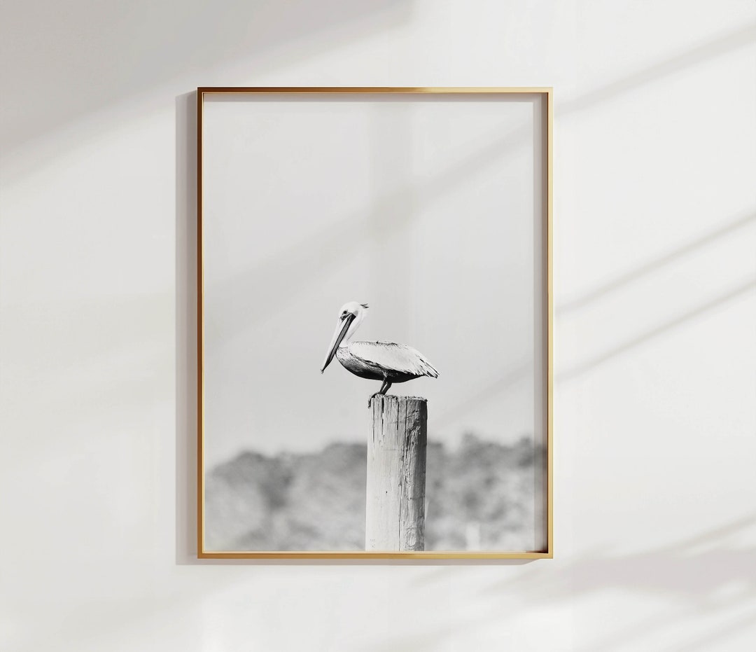 Black and White Pelican Print - Modern Coastal Bird Wall Art Print ...