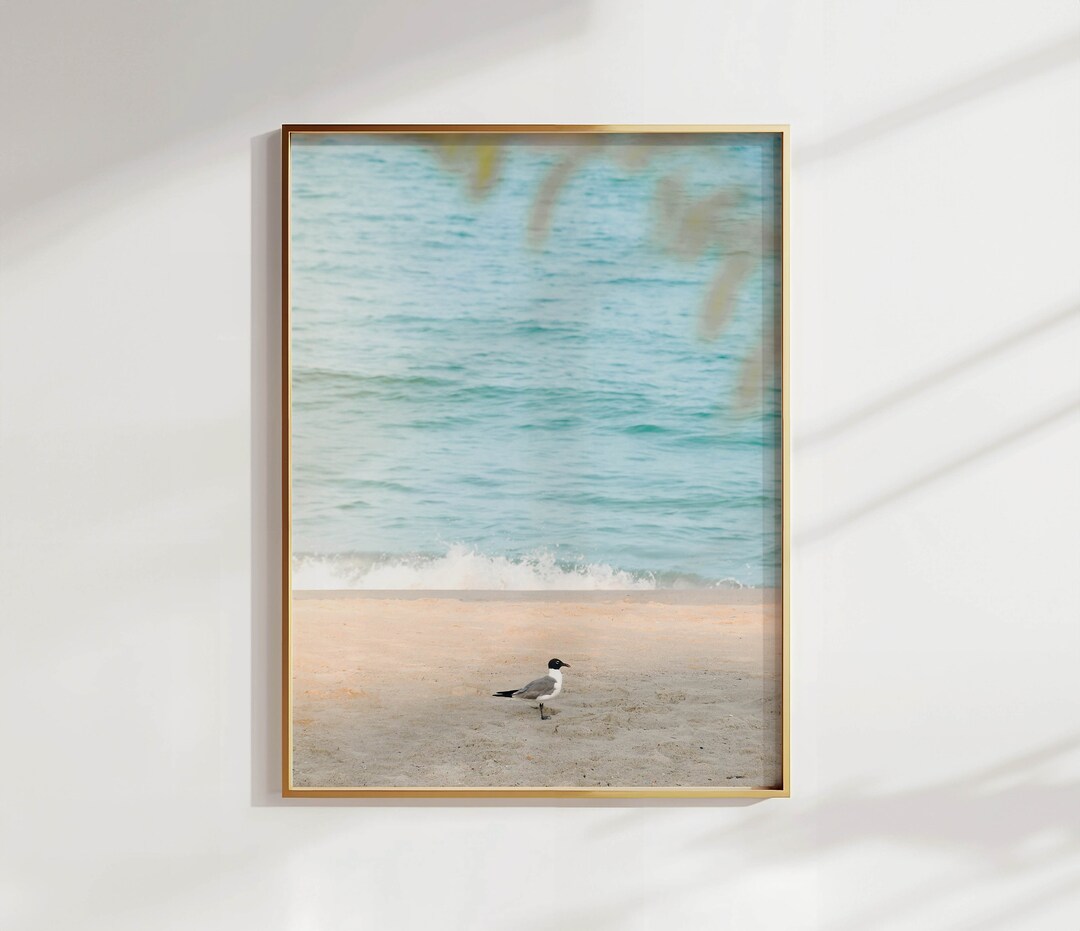 Seagull on Kure Beach – Coastal Bird Photography Print | Coastal ...
