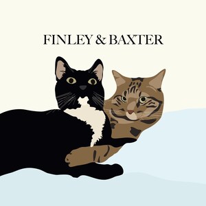 May include: A black and white cat with green eyes and a tabby cat with brown stripes are lying together on a light blue surface. The text "FINLEY & BAXTER" is written above the cats.