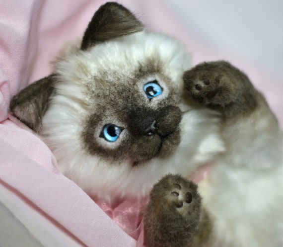 Siamese Kitten Clover Made To Order Cute Artist Cat Ooak Art Etsy Siamese Kitten Clover Made To Order Cute Artist Cat Ooak Art Etsy