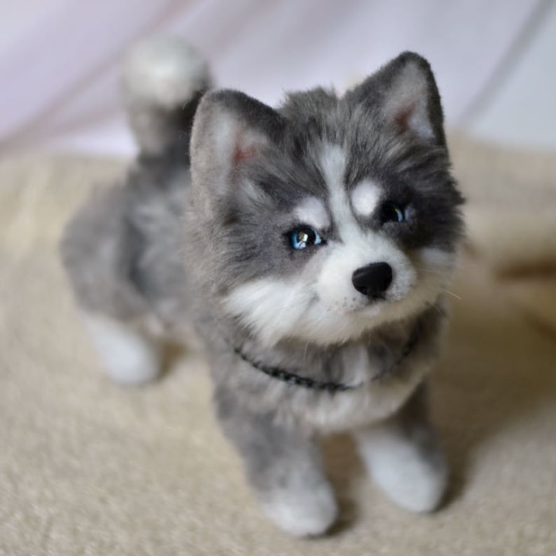 Husky puppy Hector. Made to order. Realistic toy. Husky puppy Etsy