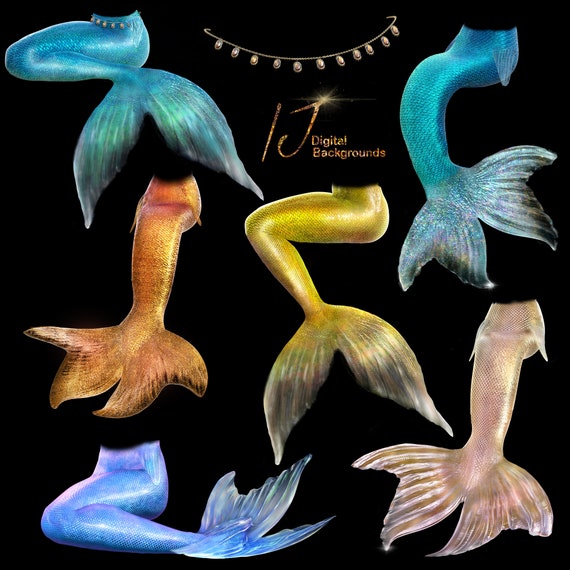 Two Tails Mermaid Tails Mermaid Tails 2, Sitting Tails And Crown