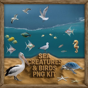 Kit PNG di creature marine e uccelli, sovrapposizioni di pesci tropicali, tartarughe, pellicani e gabbiani per compositi fantasy e modifiche da spiaggia