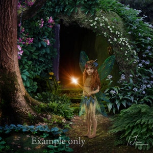 May include: A digital background depicting a fairy in a forest setting. The image shows a young girl with fairy wings, standing near a dark cave entrance surrounded by green foliage and flowers. A bright light shines from the cave. Text reads "Example only".