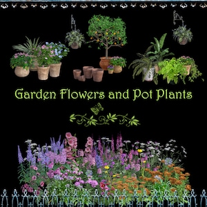 May include: A collection of potted plants and flowers, including a lemon tree, ferns, and various flowering plants. The plants are arranged in front of a black background with a decorative border at the top and a wrought iron fence at the bottom. The text "Garden Flowers and Pot Plants" is displayed in the center of the image.