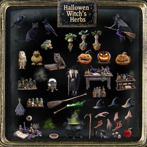 51 Halloween-heks, kruiden en dingen, png-prop-overlays voor compositie en fotobewerking, illustraties digitale download, fantasie