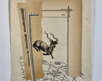 the ram         analog collage