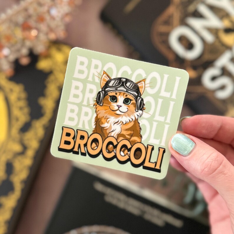 May include: Square sticker with a cartoon ginger cat wearing aviator goggles and a helmet. The word "BROCCOLI" is printed in orange, with the word repeated in a light green background.