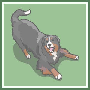 Custom Pet Portrait / Digital Art / Dog Cartoon Vector