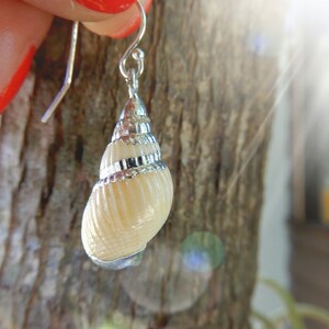 Peut inclure: Une boucle d'oreille en argent avec un pendentif en forme de coquillage blanc. Le coquillage est orné d'une bordure argentée et a la forme d'un cône.