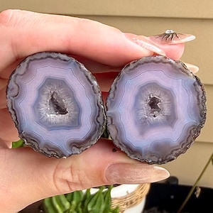 May include: Two circular agate slices featuring concentric bands of light purple, lavender, and white colors. Each slice has a small, jagged, crystalline druzy center. The edges of the stones are dark, textured, and irregular in shape.