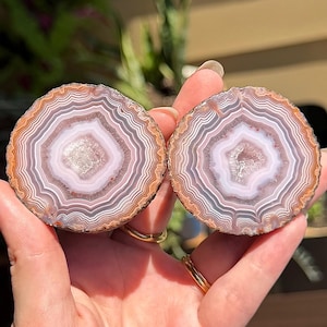 May include: Two circular agate slices featuring concentric bands of white, light gray, and earthy brown tones. The center of each stone displays a small, crystalline druzy cavity with a sparkling texture, surrounded by distinct, wavy mineral layers.