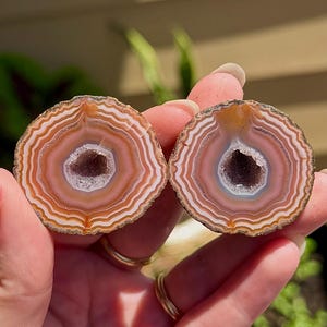 May include: Two circular agate geode slices featuring concentric bands of light brown, tan, and white colors. Each slice has a hollow center filled with small, sparkling, translucent crystals. The edges of the stones are rough and dark brown.