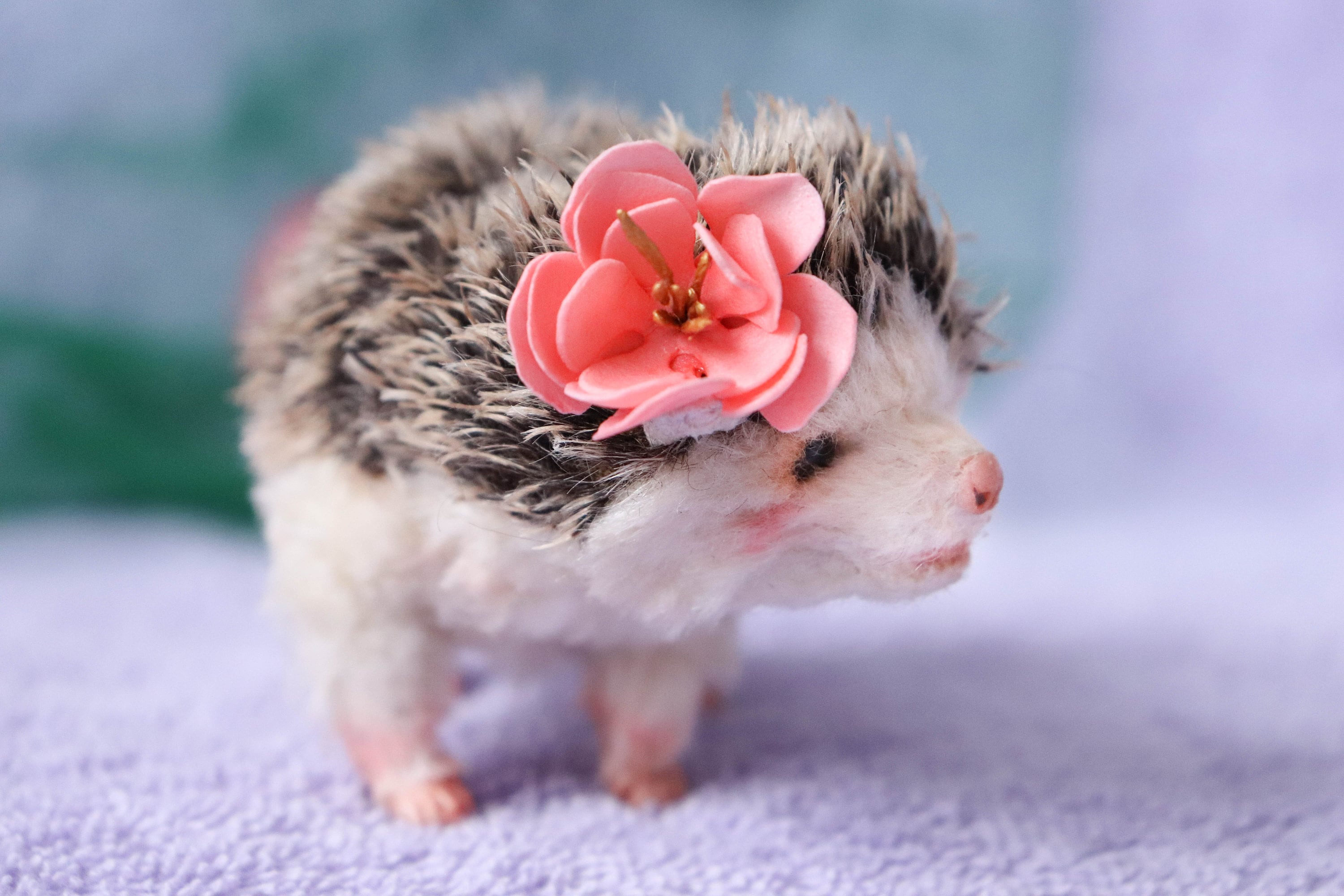 Realistic hedgehog ooak collectible toy stuffed plushe animal Etsy