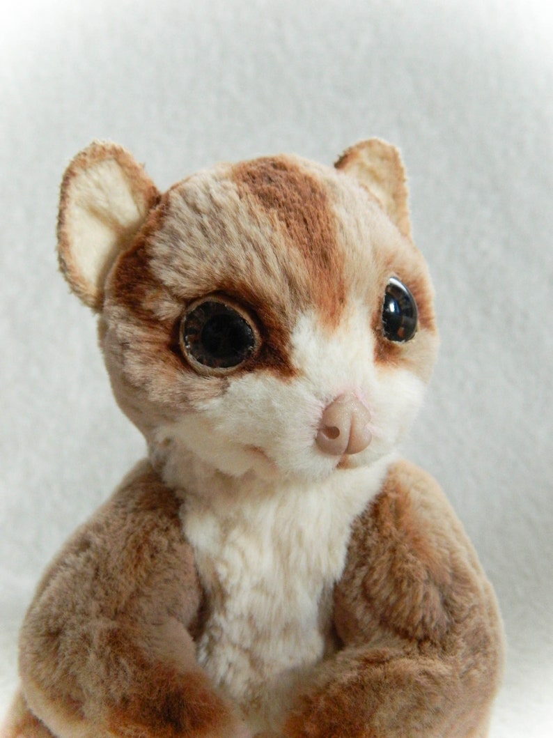 CUSTOM ORDER Sugar glider realistic plush toys Comission doll | Etsy