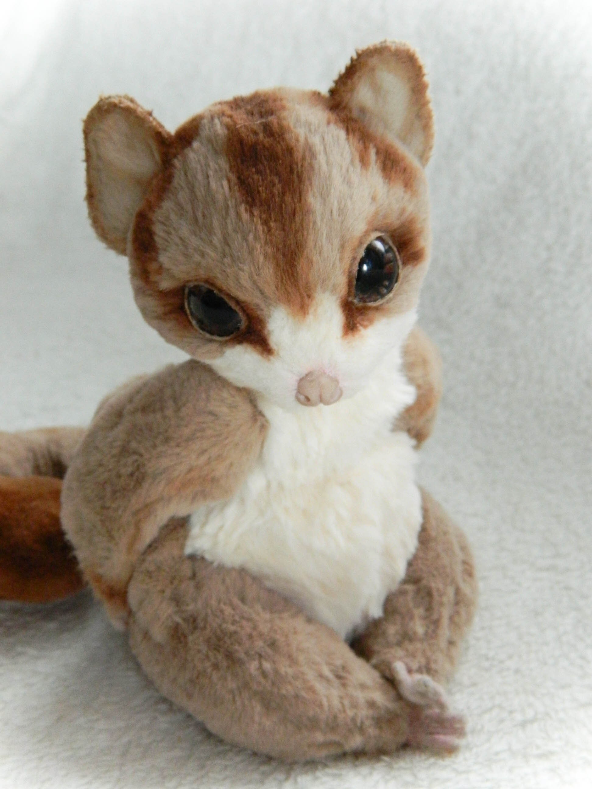 CUSTOM ORDER Sugar glider realistic plush toys Comission doll Etsy