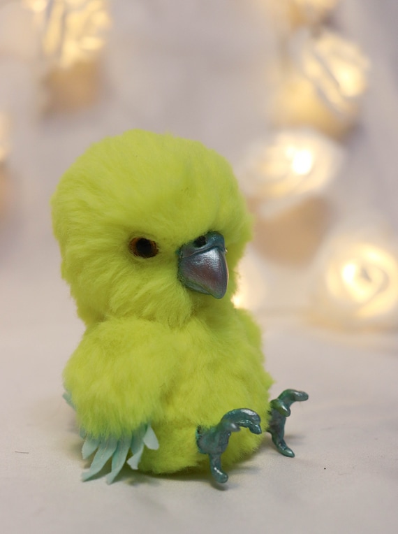 teddy bird