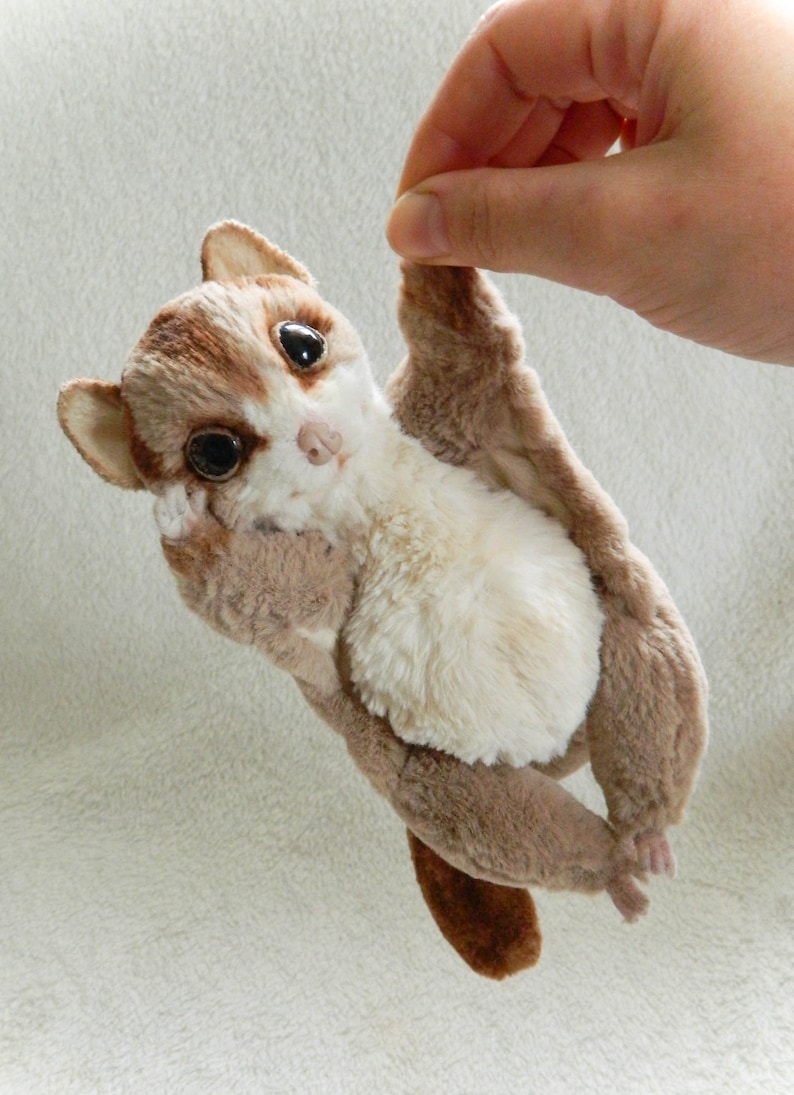 CUSTOM ORDER Sugar glider realistic plush toys Comission doll Etsy