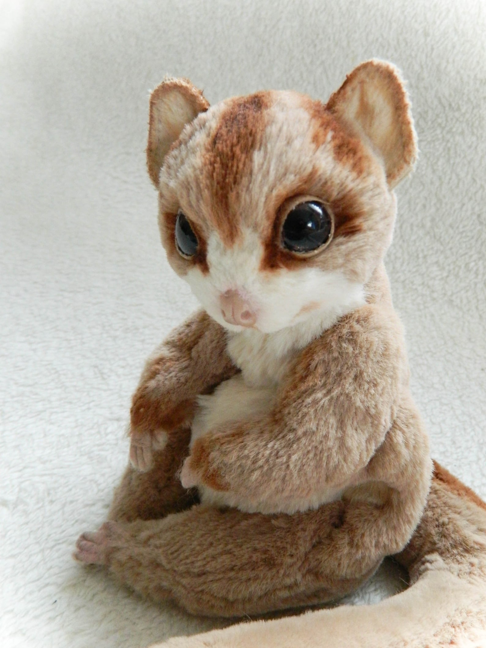 CUSTOM ORDER Sugar glider realistic plush toys Comission doll Etsy