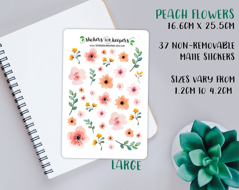 Floral Stickers, Bullet Journal Stickers, Flower Stickers, Decorative Stickers, Planner Stickers, TN Stickers, Floral Planner Stickers image 4