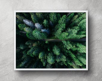 Aerial forest photography, Digital download, Forest wall art, Forest artwork, Nature photography, Forest print, Printable art, Wall art