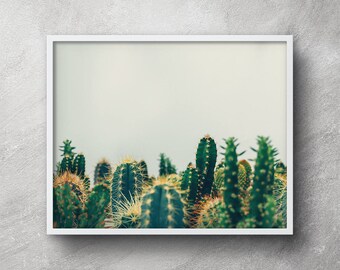 Minimalist Cactus photography, Cactus downloadable, Cactus poster, Cactus wall art, Cactus artwork, Cactus art, Wall art, Desert photography