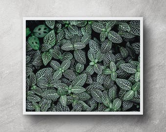Printable tropical art, Leaves print, Tropical photography, Tropical leafs art, Tropical leaf, Tropical decor print, Tropical wall art