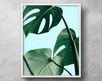 Leaf print, Plant prints, Monstera, Printable wall art, Botanical print, Botanical art, Tropical leaf print, Digital download, Wall art