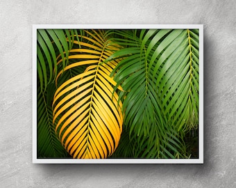 Palm leaf printable, Palm leaf wall decor, Palm leaf prints, Palm leaf wall art, Palm trees print, Tropical plant, Palm tree art, Palm frond