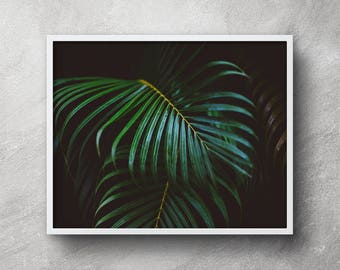 Palm leaf printable, Palm leaf wall decor, Palm leaf prints, Palm leaf wall art, Palm trees print, Tropical plant, Palm tree art, Palm frond