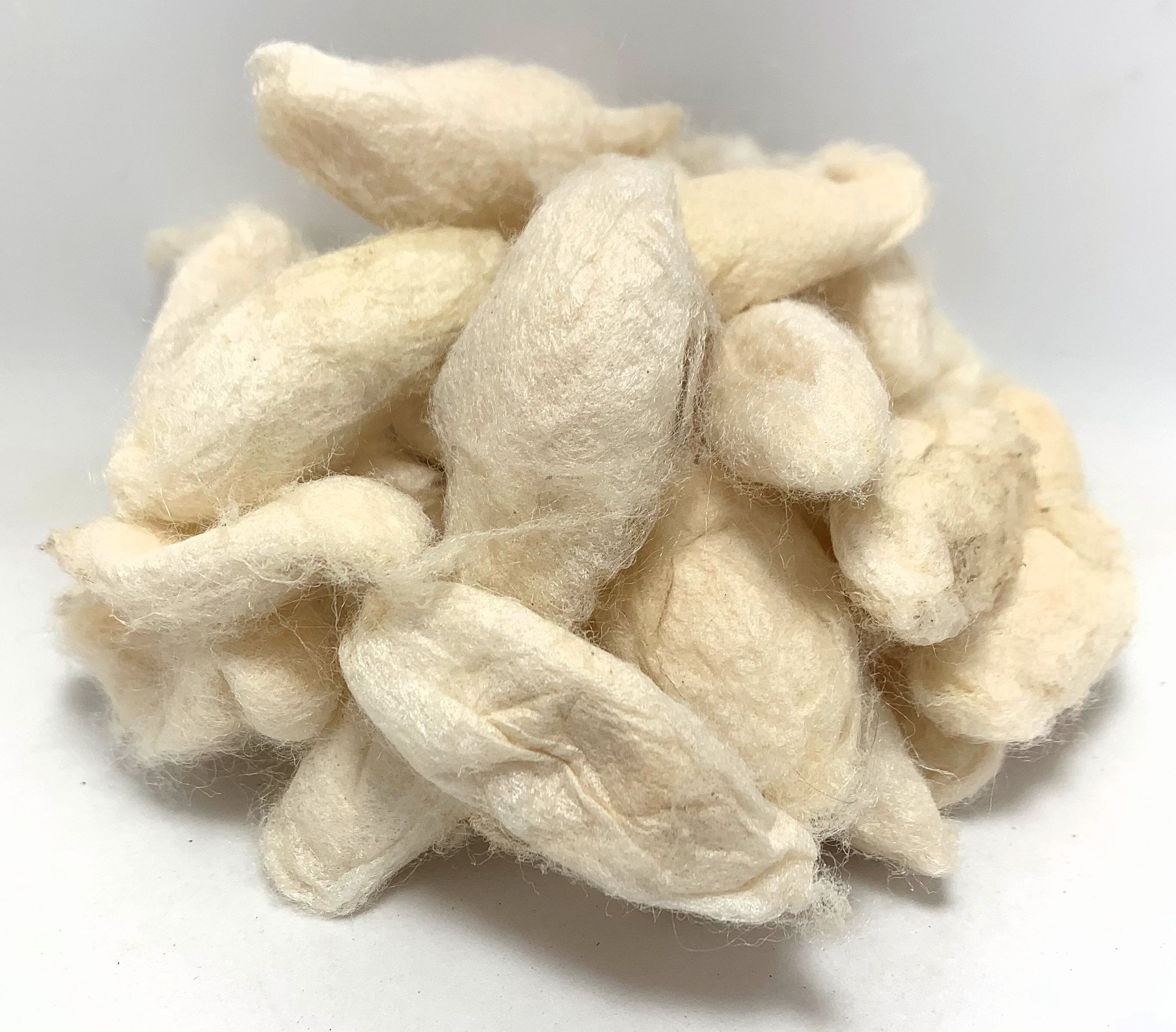 Eri peace Silk Cocoons Spinning Felting 1/2 Oz Etsy Canada