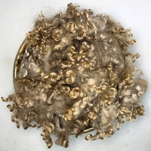 Pode incluir: Uma massa densa e arredondada de fibra animal crua e encaracolada em tons de castanho claro, bege e loiro dourado. As madeixas texturizadas estão empilhadas, exibindo uma estrutura natural em espiral com comprimentos variados e volume.