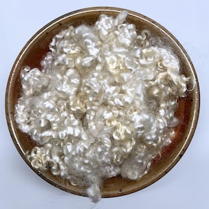 May include: A brown ceramic bowl filled with soft, off-white, curly wool fibres. The wool has a natural, textured appearance, with varying shades of cream and ivory. The bowl's rim is a darker brown, creating a contrast with the wool.