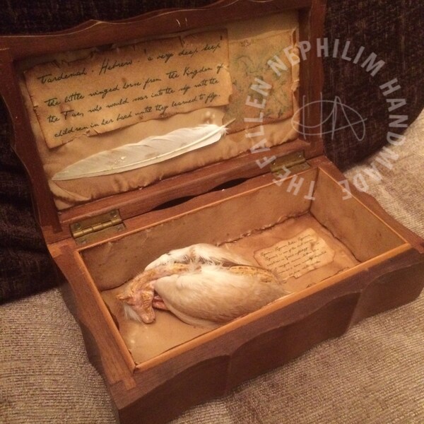 Tardemah the little winged horse. Pegasus Assemblage - The Fallen Nephilim Handmade - Sculpture - Macabre Oddity - art doll